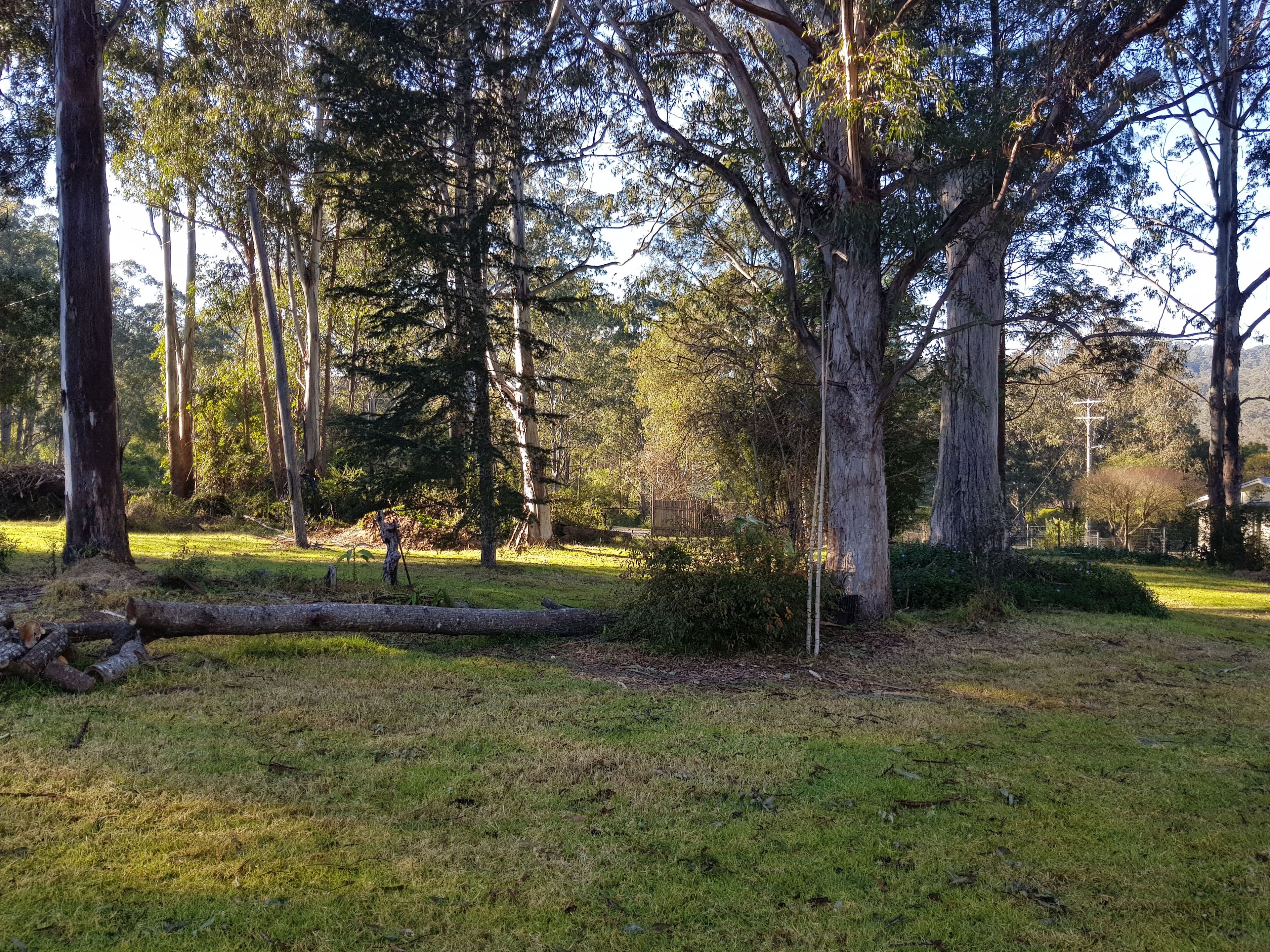 39 Mount Street, Dundurrabin NSW 2453, Dundurrabin - Image 1