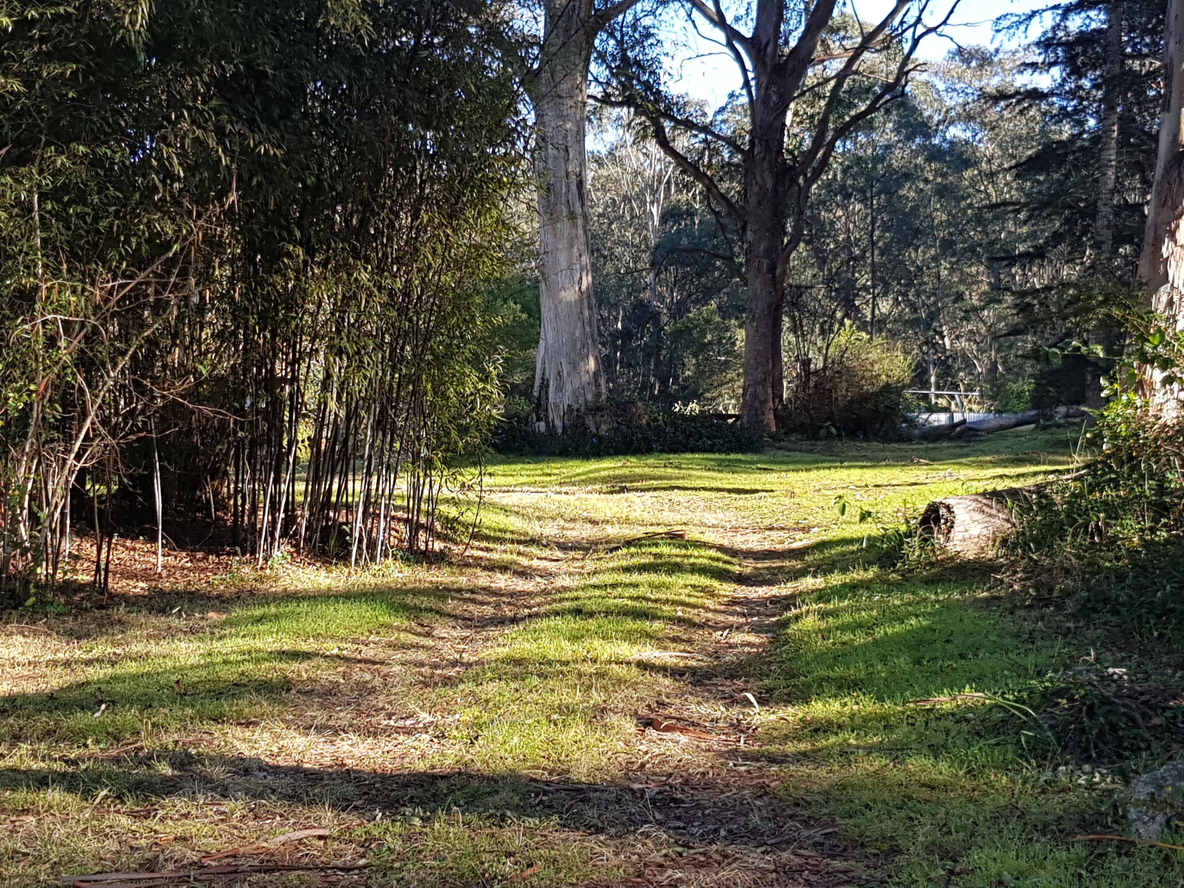 39 Mount Street, Dundurrabin NSW 2453, Dundurrabin - Thumbnail 2