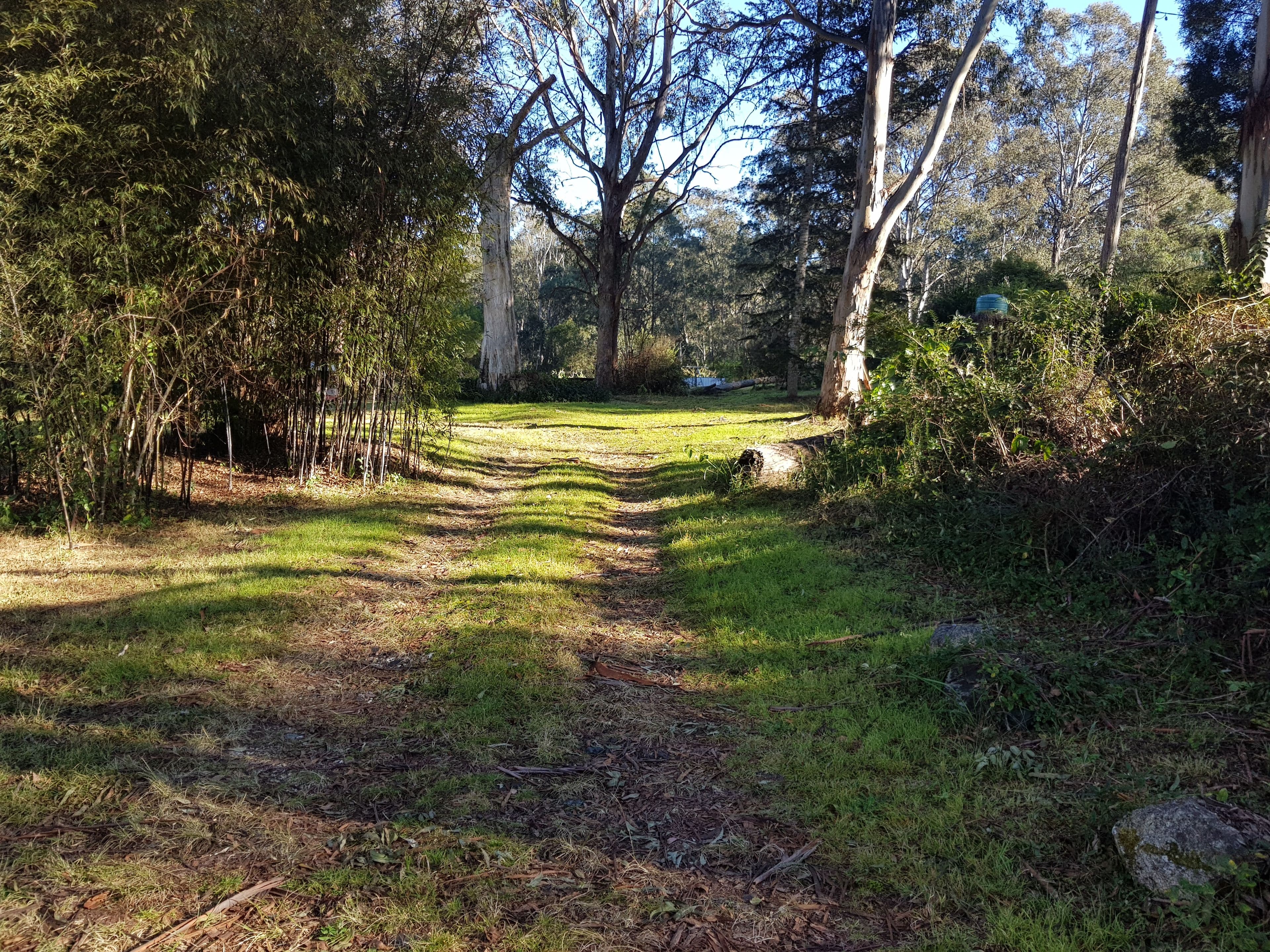39 Mount Street, Dundurrabin NSW 2453, Dundurrabin - Thumbnail 4