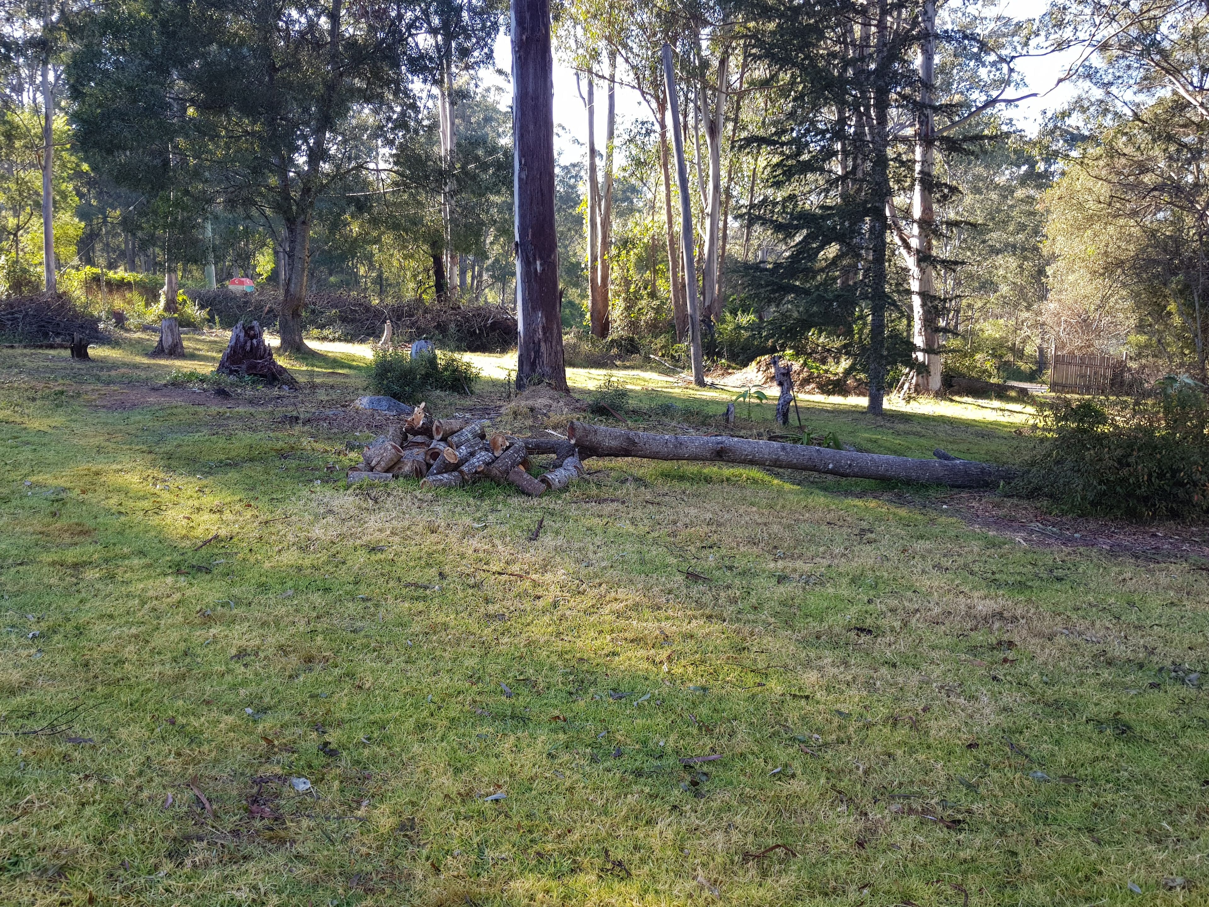 39 Mount Street, Dundurrabin NSW 2453, Dundurrabin - Thumbnail 5