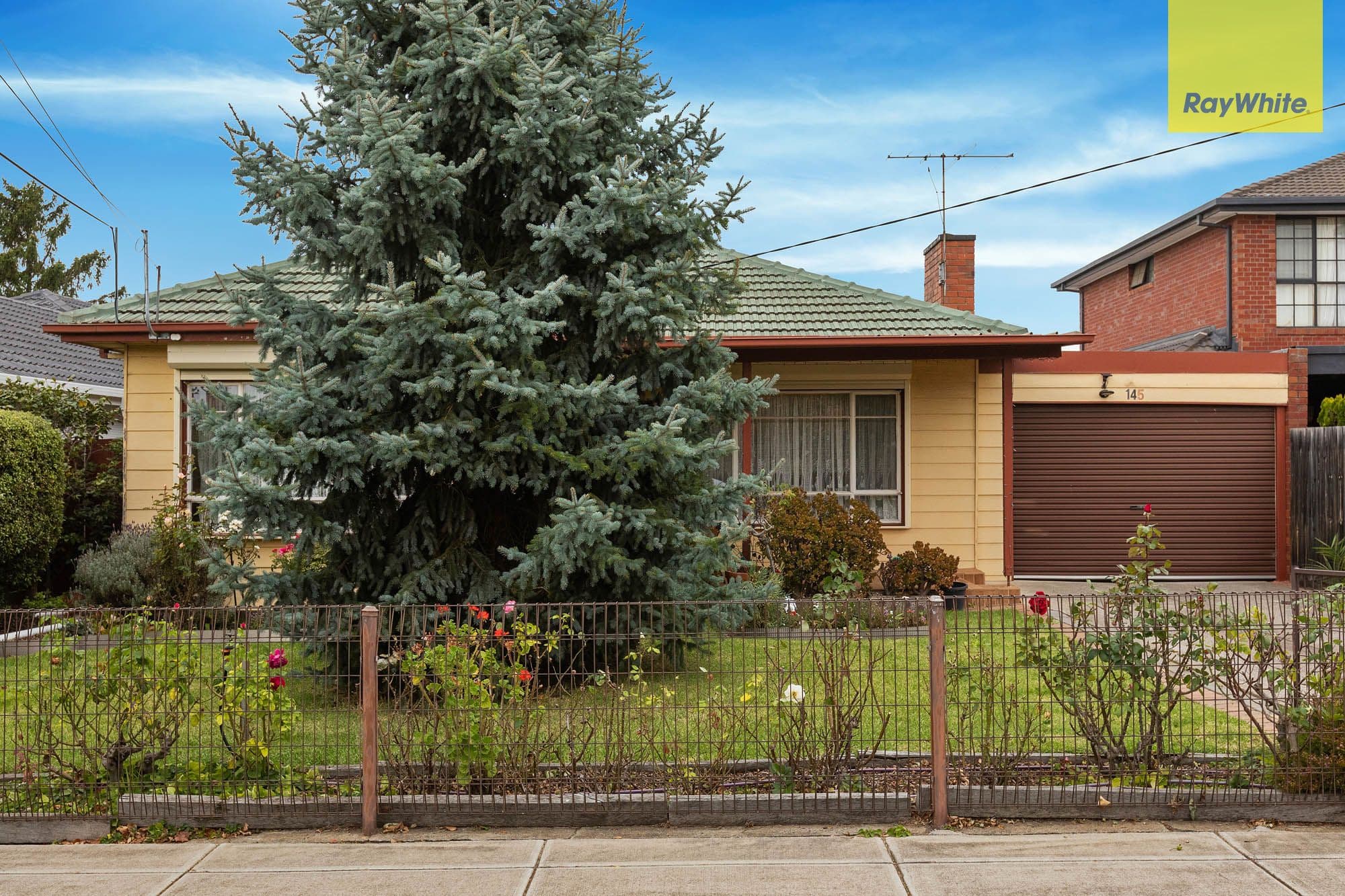 145 William Street, St Albans VIC 3021, St Albans - Thumbnail 3