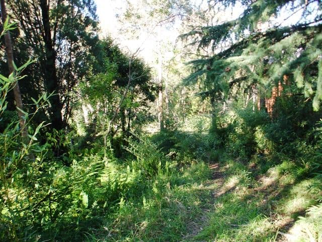 Faulconbridge NSW 2776, Faulconbridge - Thumbnail 3
