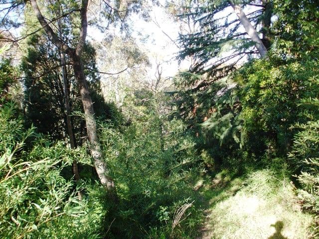 Faulconbridge NSW 2776, Faulconbridge - Thumbnail 4