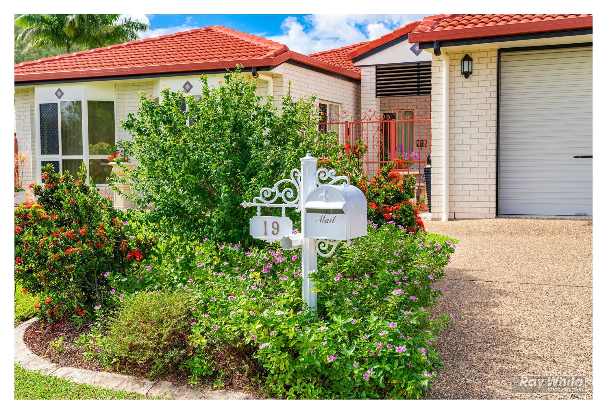 19 Harris Crescent, Norman Gardens QLD 4701, Norman Gardens - Thumbnail 3
