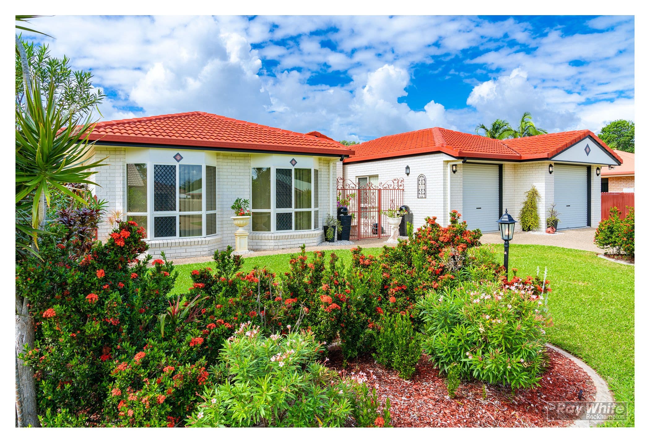 19 Harris Crescent, Norman Gardens QLD 4701, Norman Gardens - Thumbnail 5