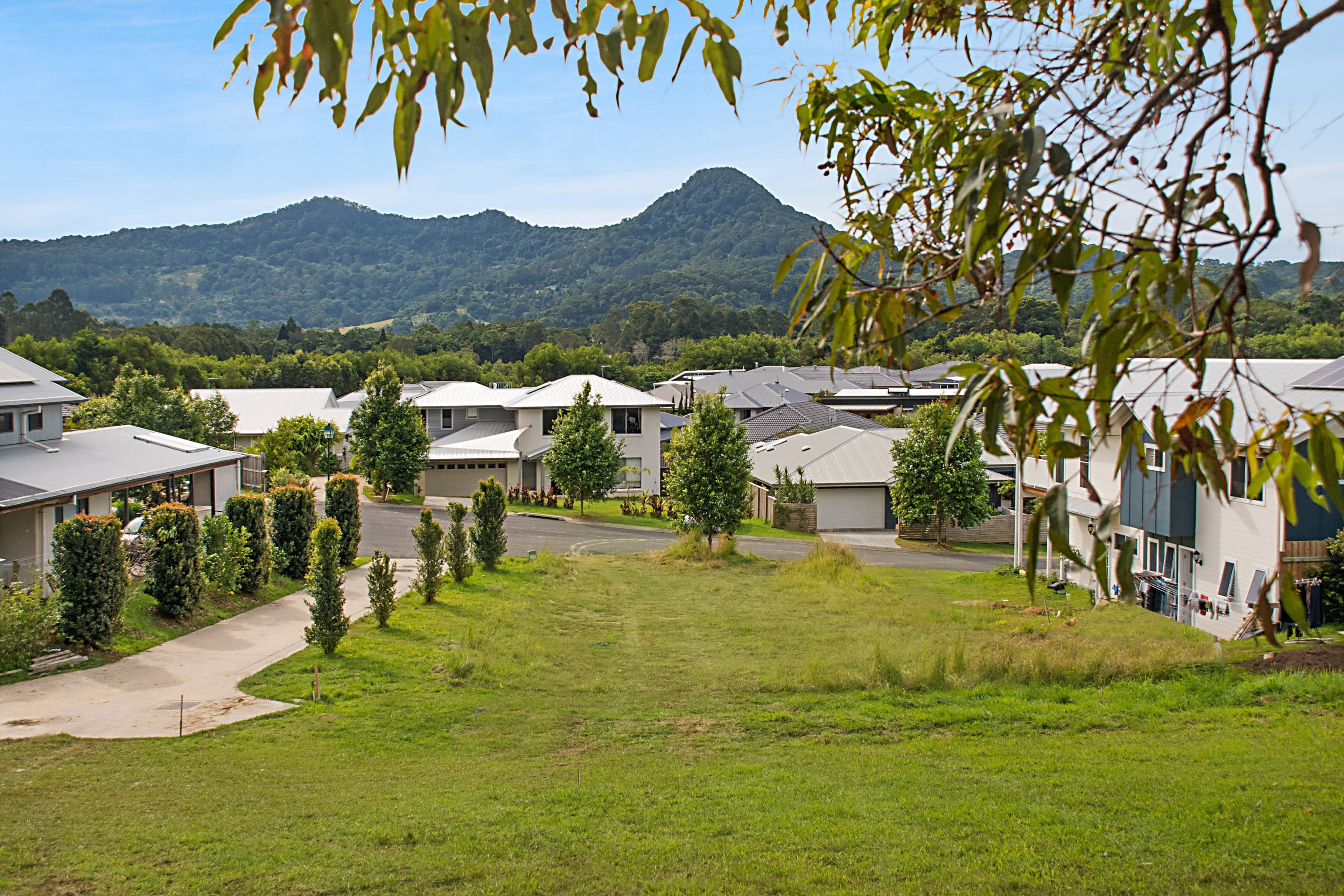 11b Parakeet Place, Mullumbimby NSW 2482, Mullumbimby - Thumbnail 3