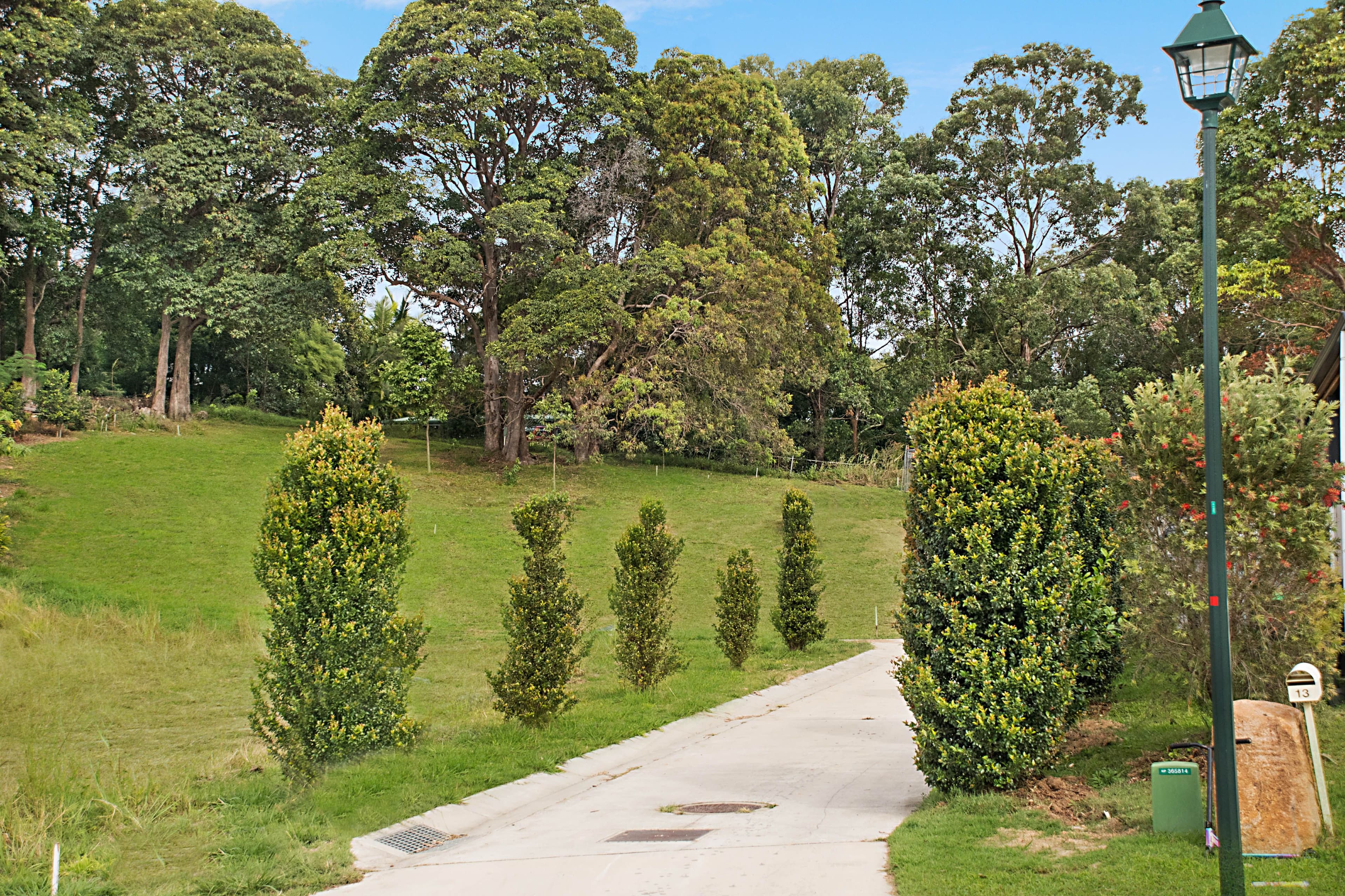 11b Parakeet Place, Mullumbimby NSW 2482, Mullumbimby - Thumbnail 5