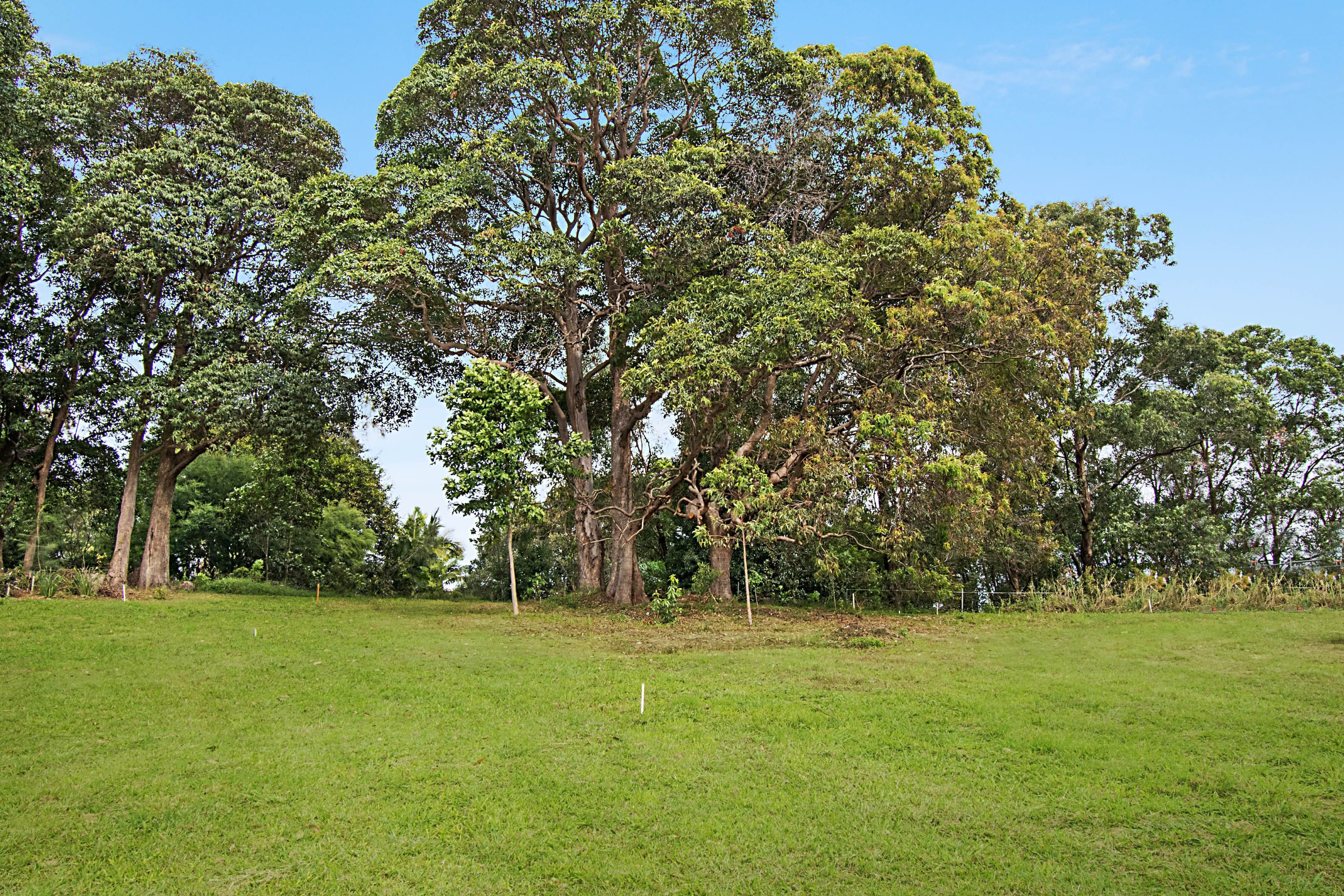 11b Parakeet Place, Mullumbimby NSW 2482, Mullumbimby - Thumbnail 8
