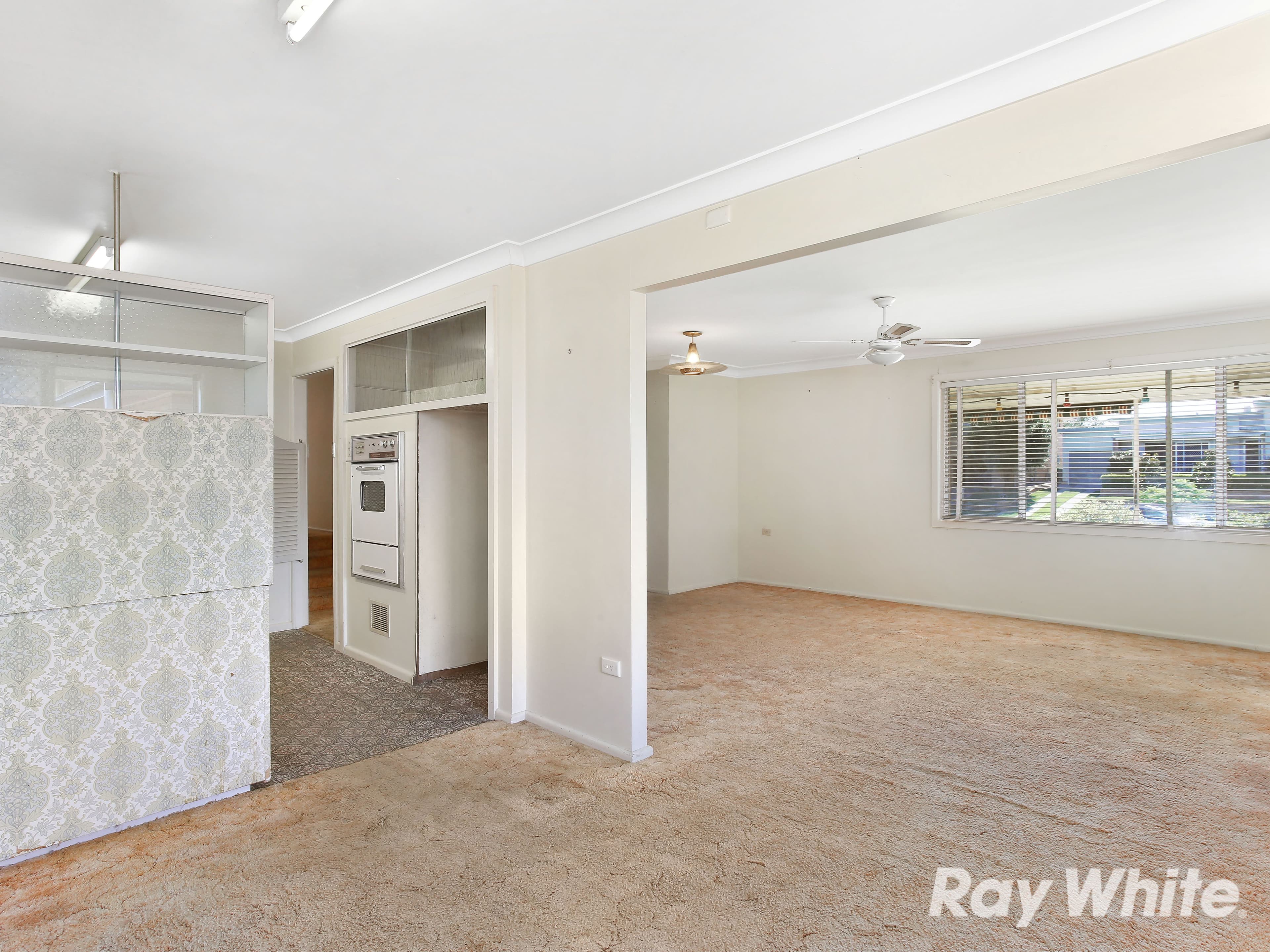 18 Loxton Avenue, Grafton - Thumbnail 4