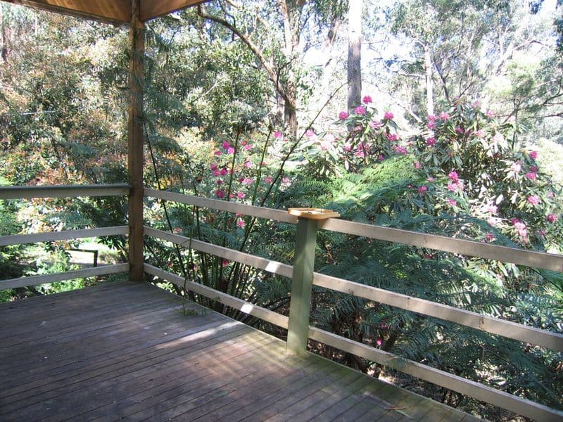 7  Wilga Avenue, SELBY VIC 3159, Selby - Thumbnail 5