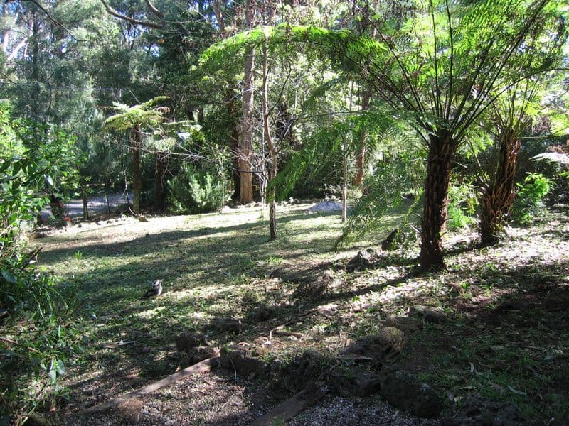 7  Wilga Avenue, SELBY VIC 3159, Selby - Thumbnail 7