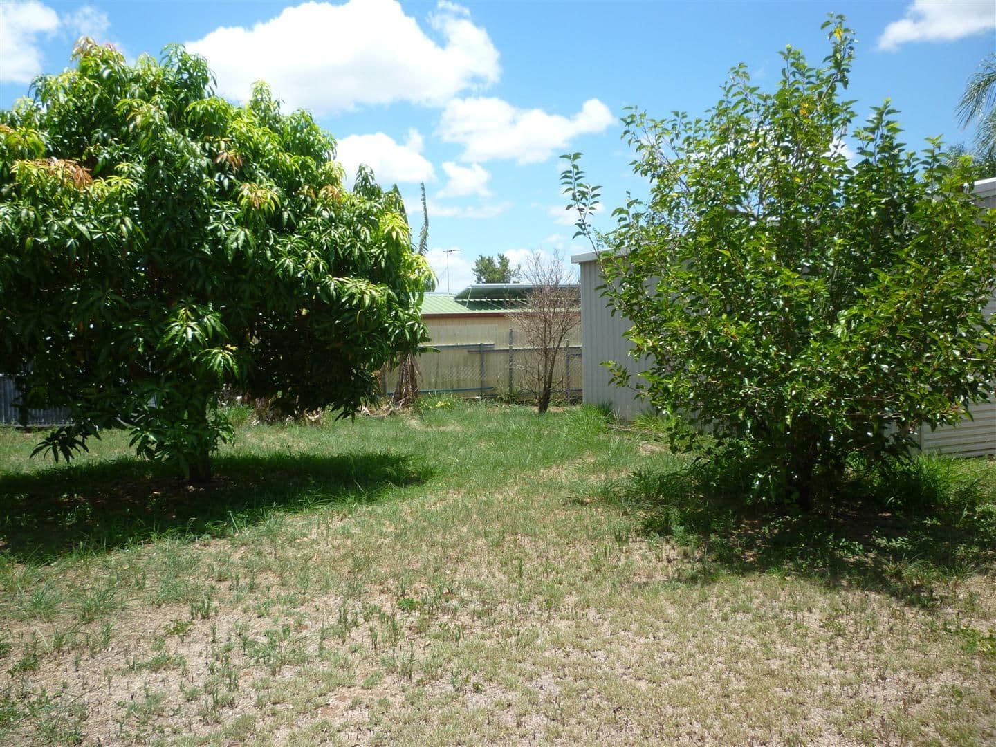 4 McCarthy Street, Gracemere QLD 4702, Gracemere - Thumbnail 3