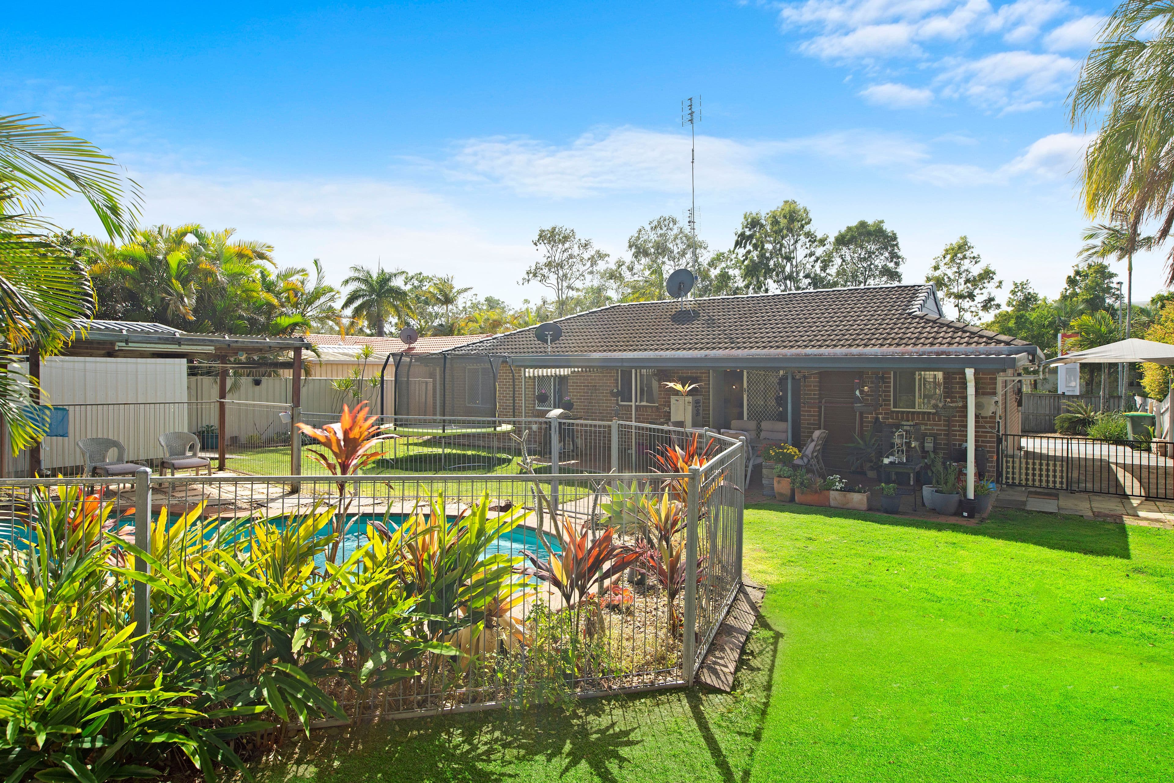 25 Lady Musgrave Drive, Mountain Creek QLD 4557, Mountain Creek - Thumbnail 4