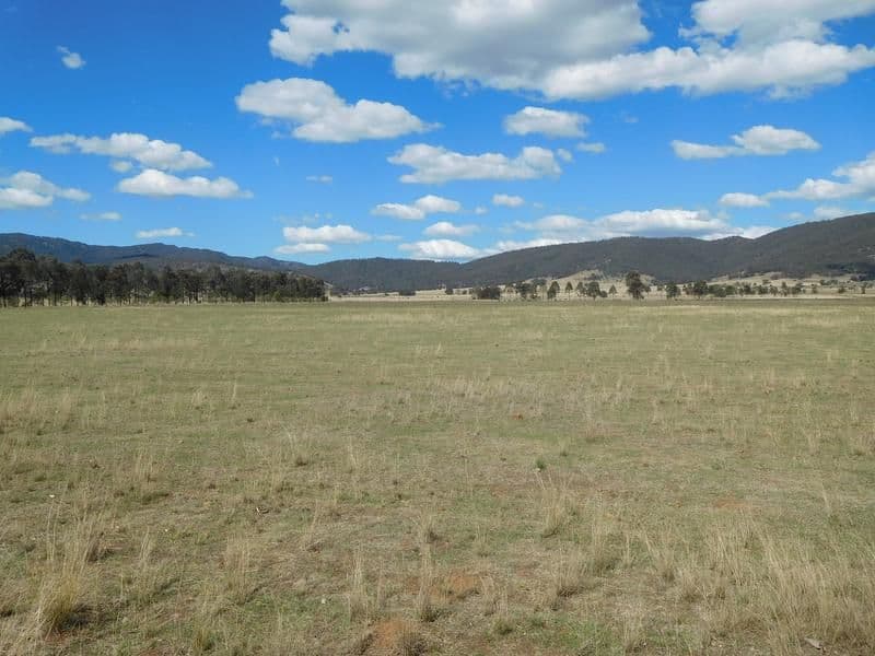 19 Smiths Road, Scone - Image 1