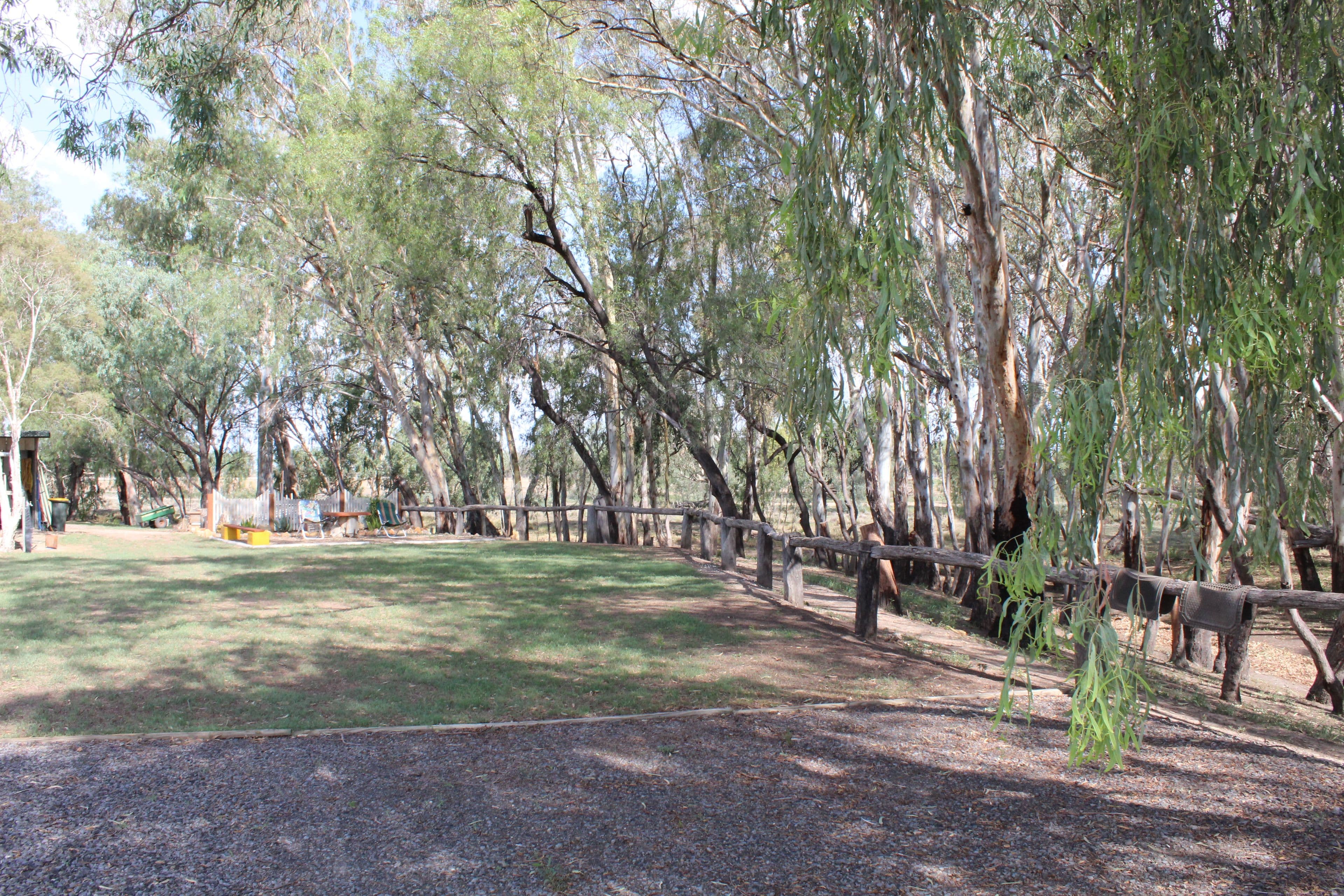 49 Virginia, Goondiwindi QLD 4390, Goondiwindi - Thumbnail 2