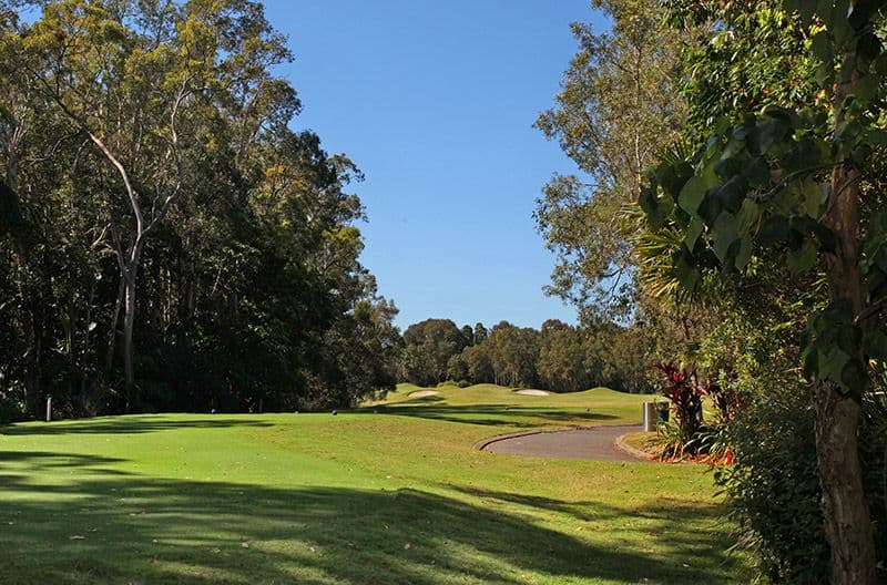 21 Hetherington Drive, TWIN WATERS QLD 4564, Twin Waters - Thumbnail 4