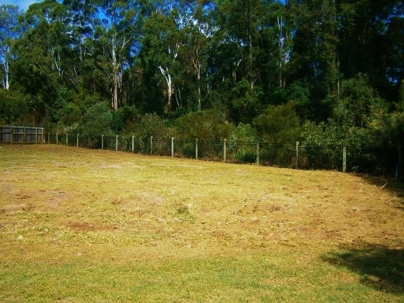 27 Pepper Tree Way, BEERWAH QLD 4519, Beerwah - Thumbnail 7
