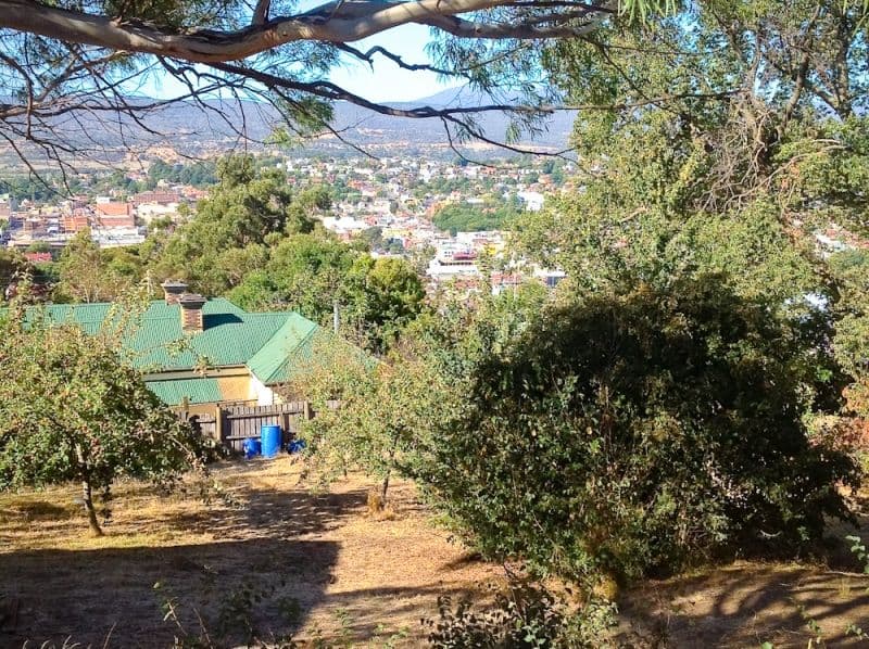 WEST LAUNCESTON TAS 7250, West Launceston - Thumbnail 2