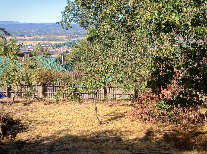 WEST LAUNCESTON TAS 7250, West Launceston - Thumbnail 3