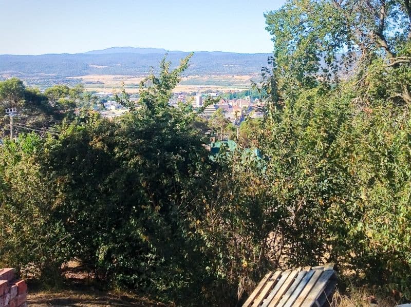 WEST LAUNCESTON TAS 7250, West Launceston - Thumbnail 6