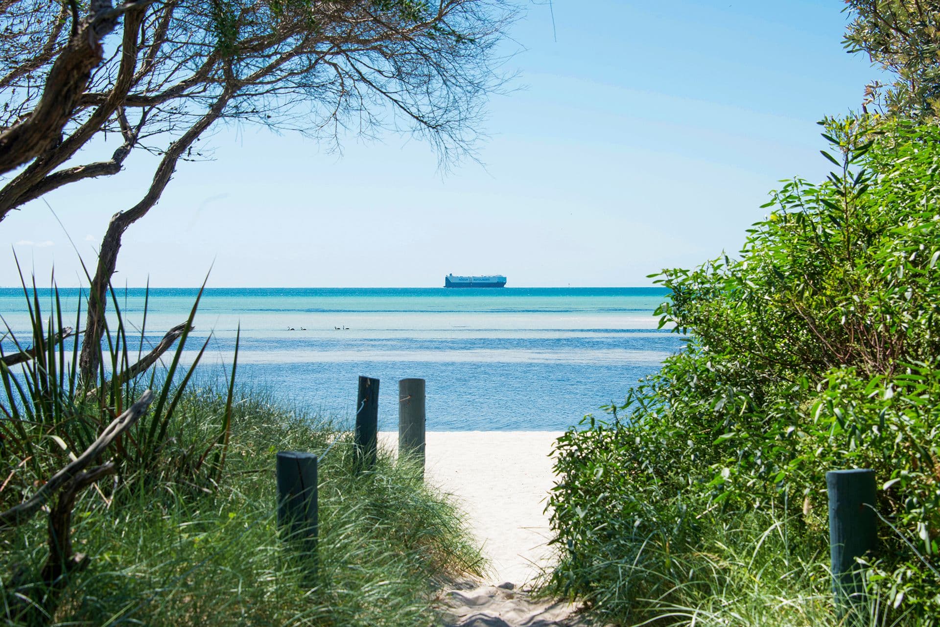 1 Sundew Avenue, Capel Sound VIC 3940, Capel Sound - Thumbnail 6