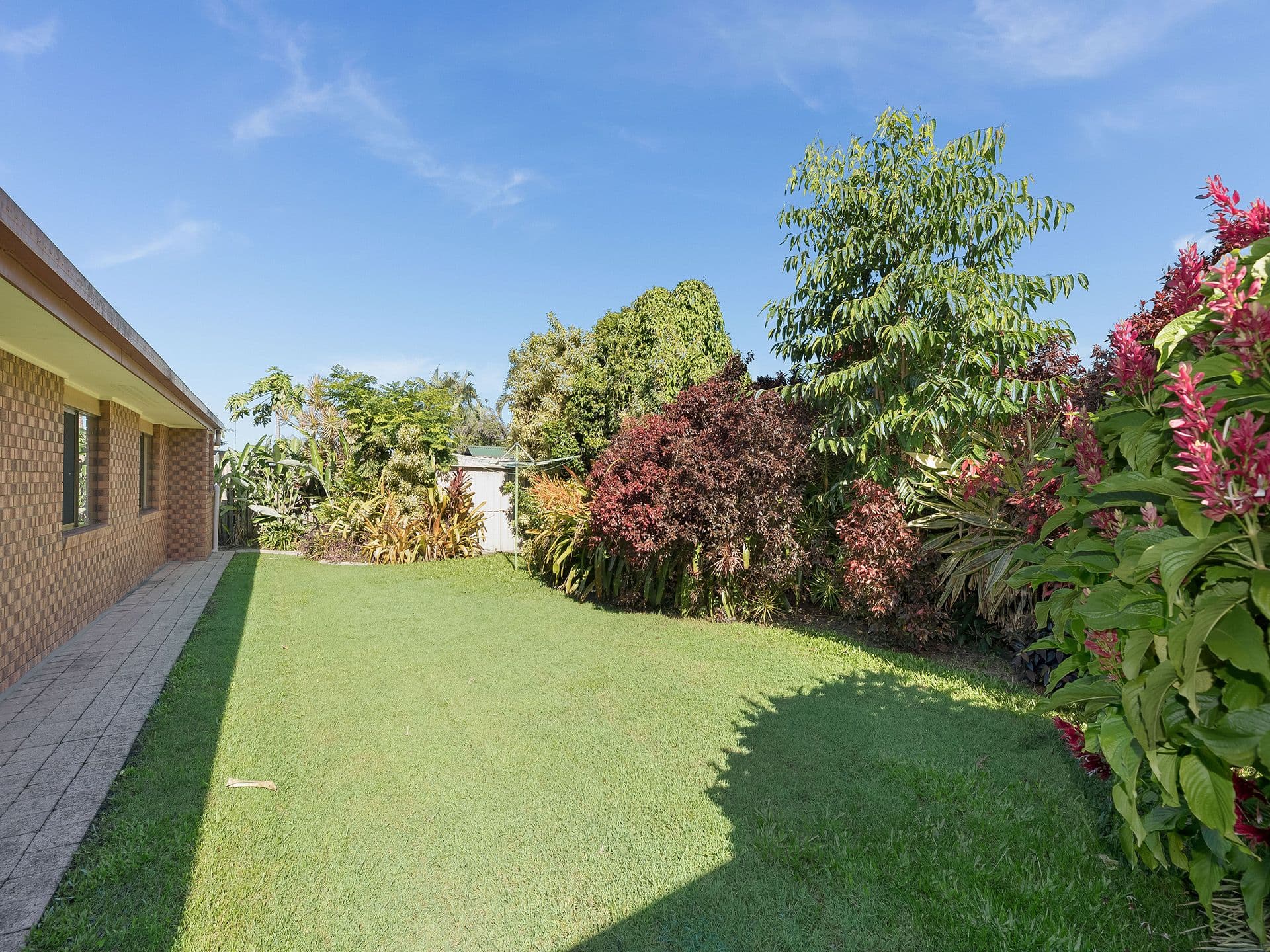 38 Pittards Road, Buderim QLD 4556, Buderim - Thumbnail 7