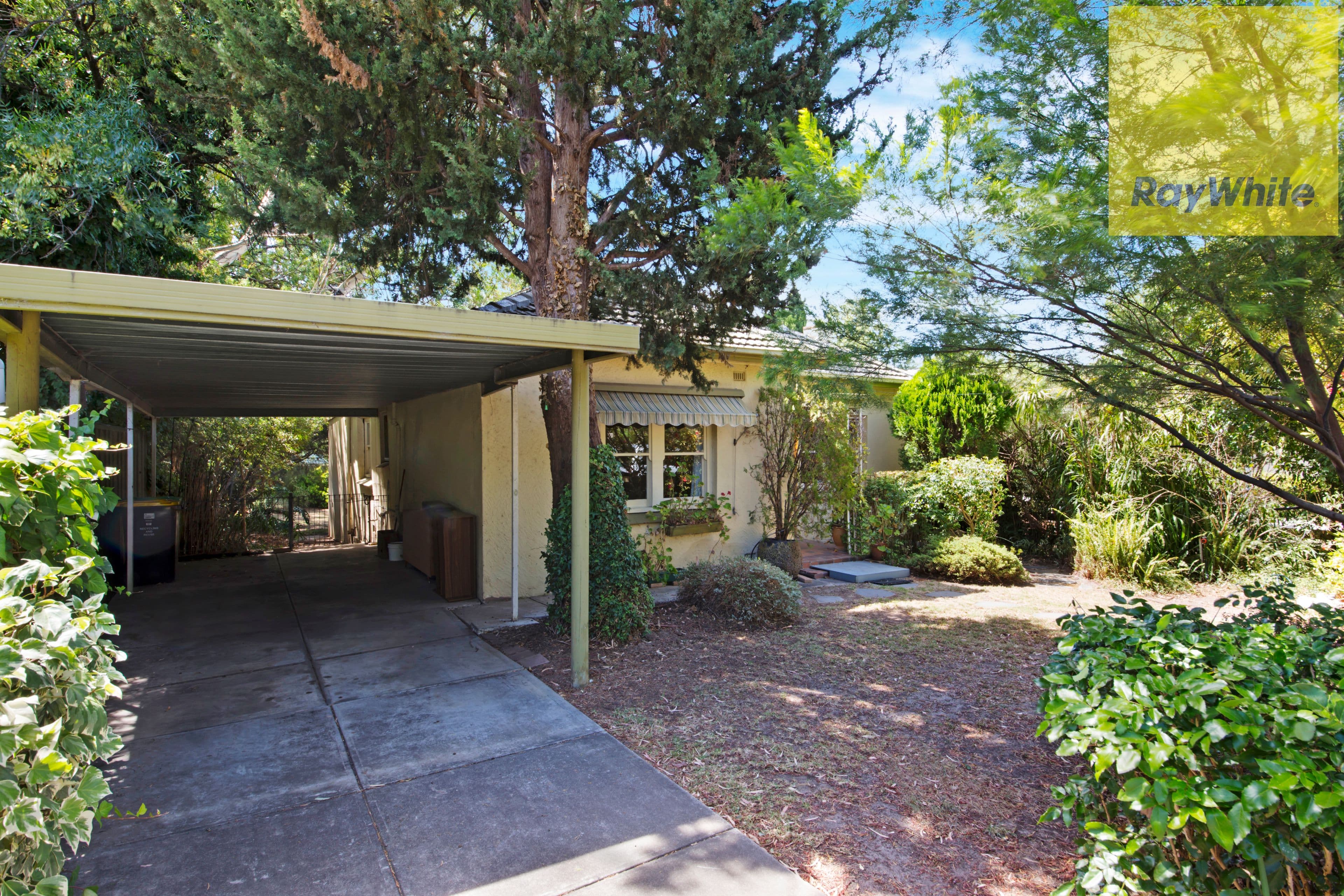 13 Lerwick Avenue, Hazelwood Park SA 5066, Hazelwood Park - Thumbnail 3