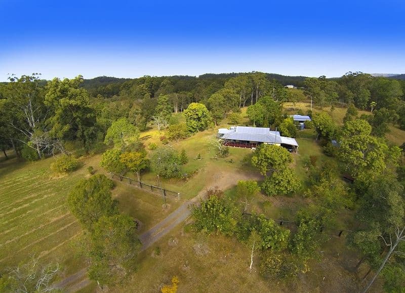 20 Ilkley Road, EUDLO QLD 4554, Eudlo - Thumbnail 3