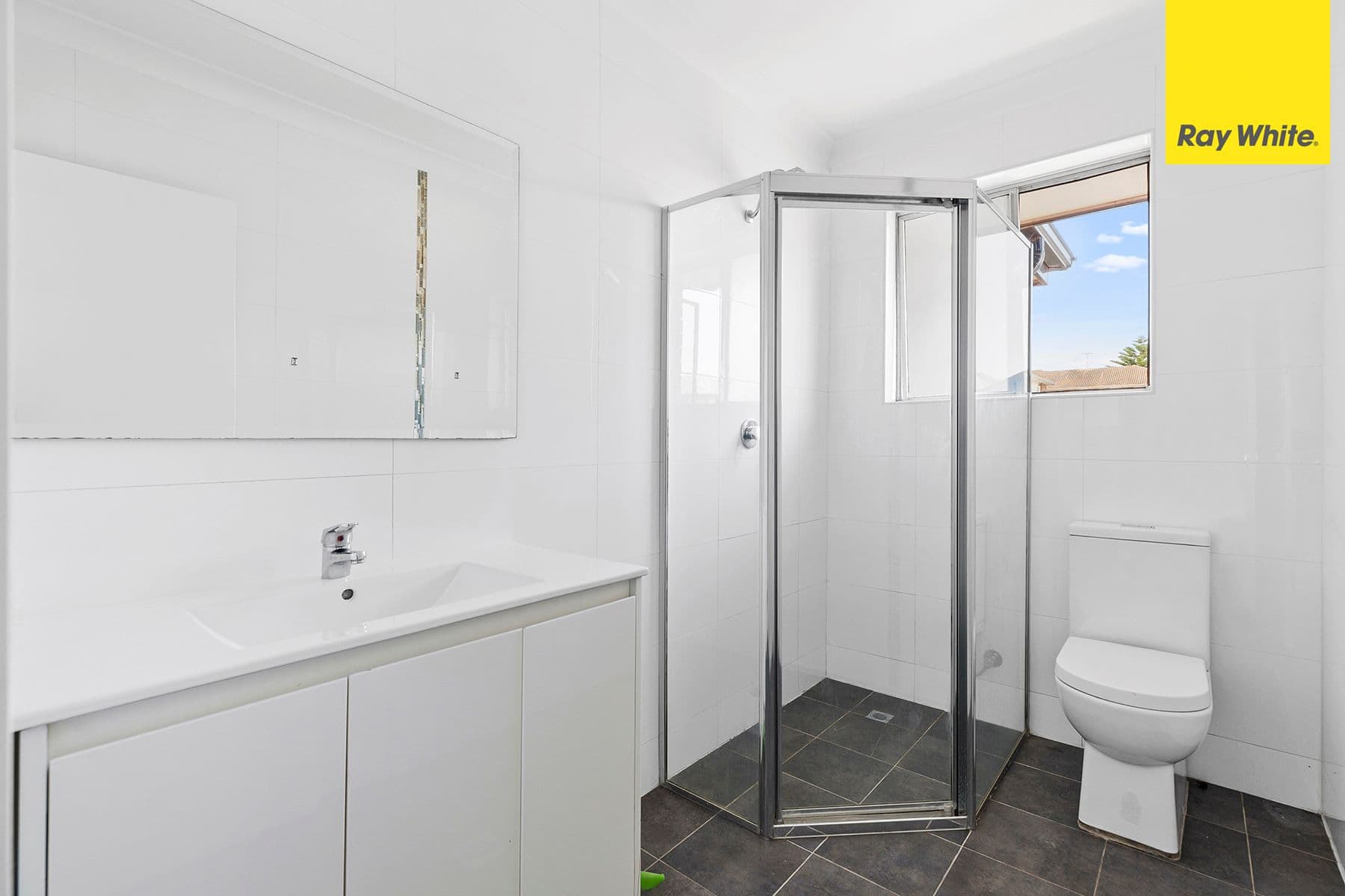 19 Dudley Street, Punchbowl NSW 2196, Punchbowl - Thumbnail 5