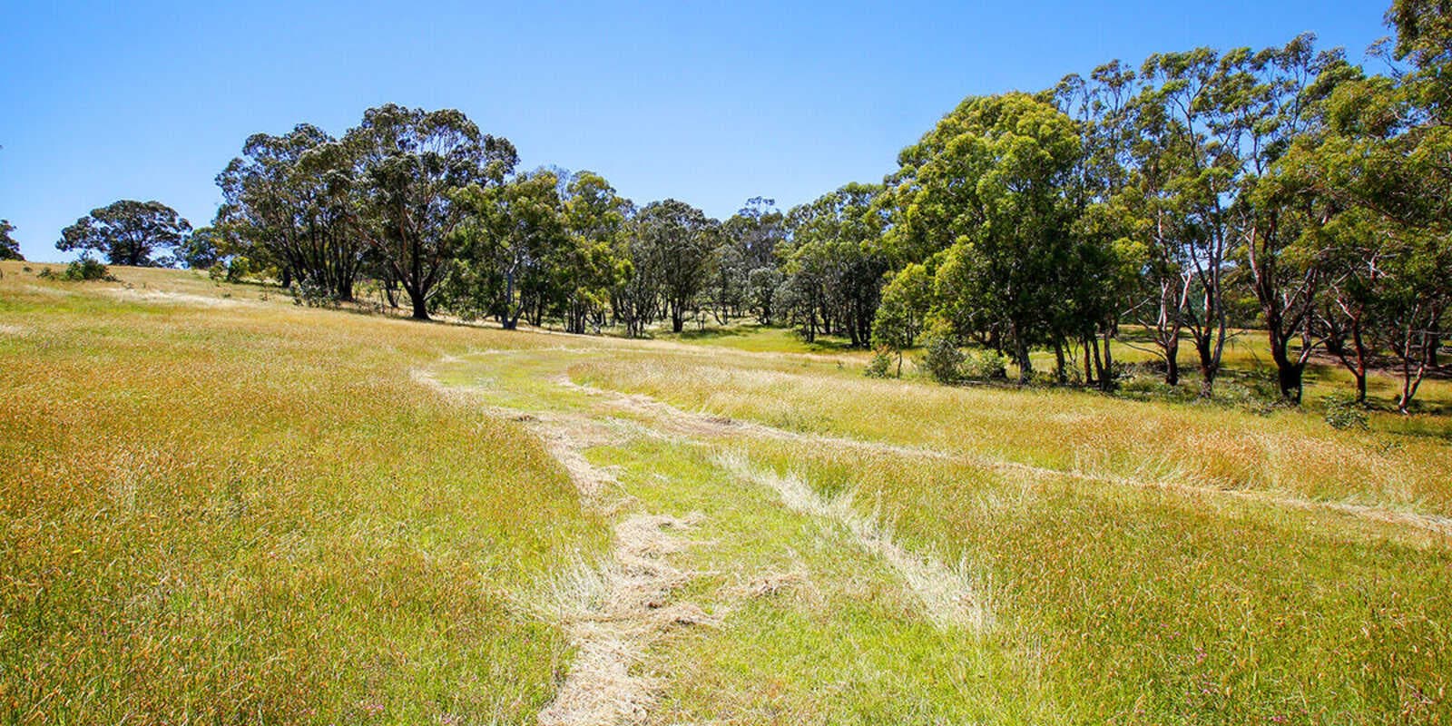 Lot 3 &amp; Lot 4 Murrimba Road Wingello, Wingello - Thumbnail 6