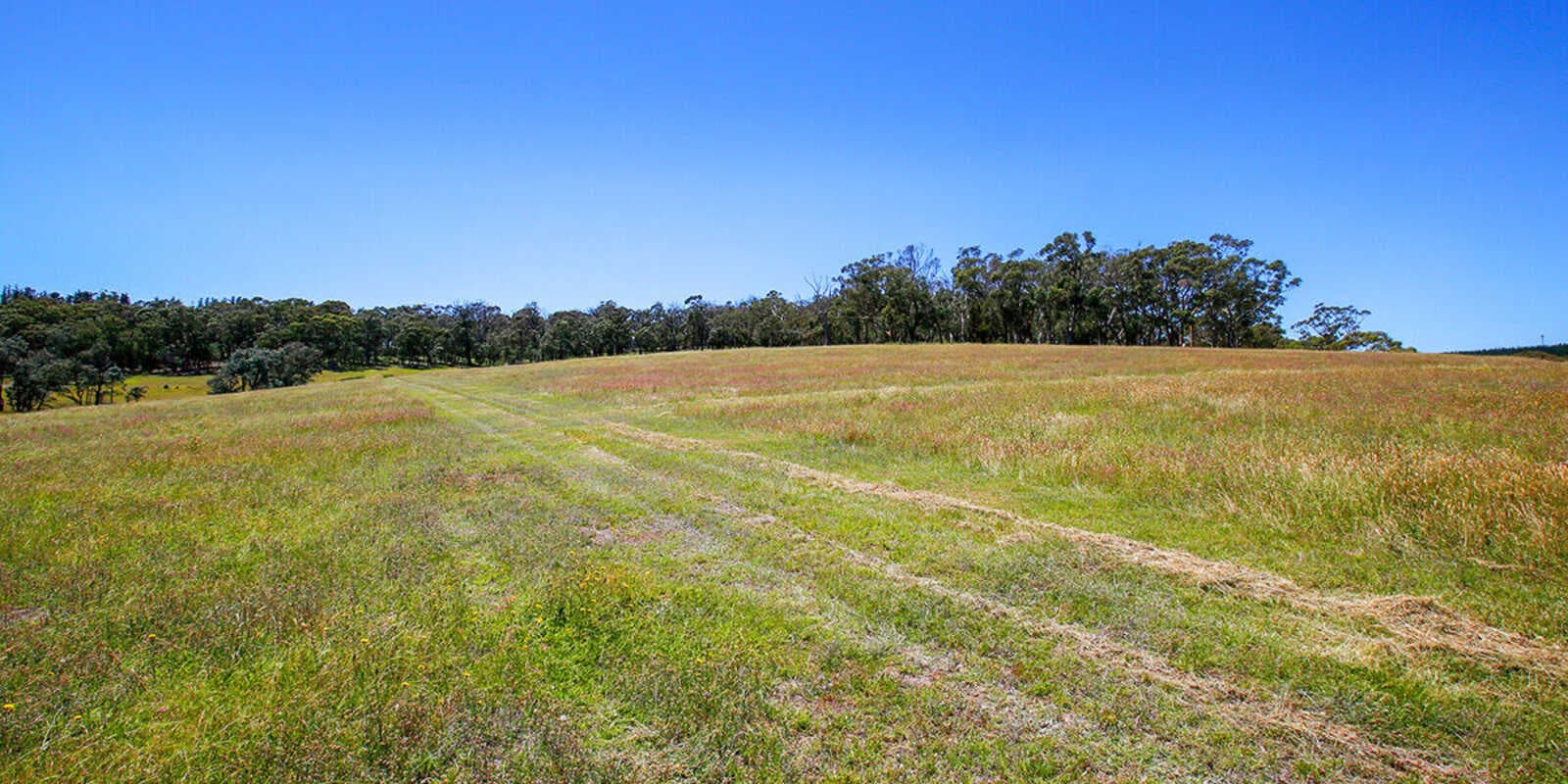 Lot 3 &amp; Lot 4 Murrimba Road Wingello, Wingello - Thumbnail 7