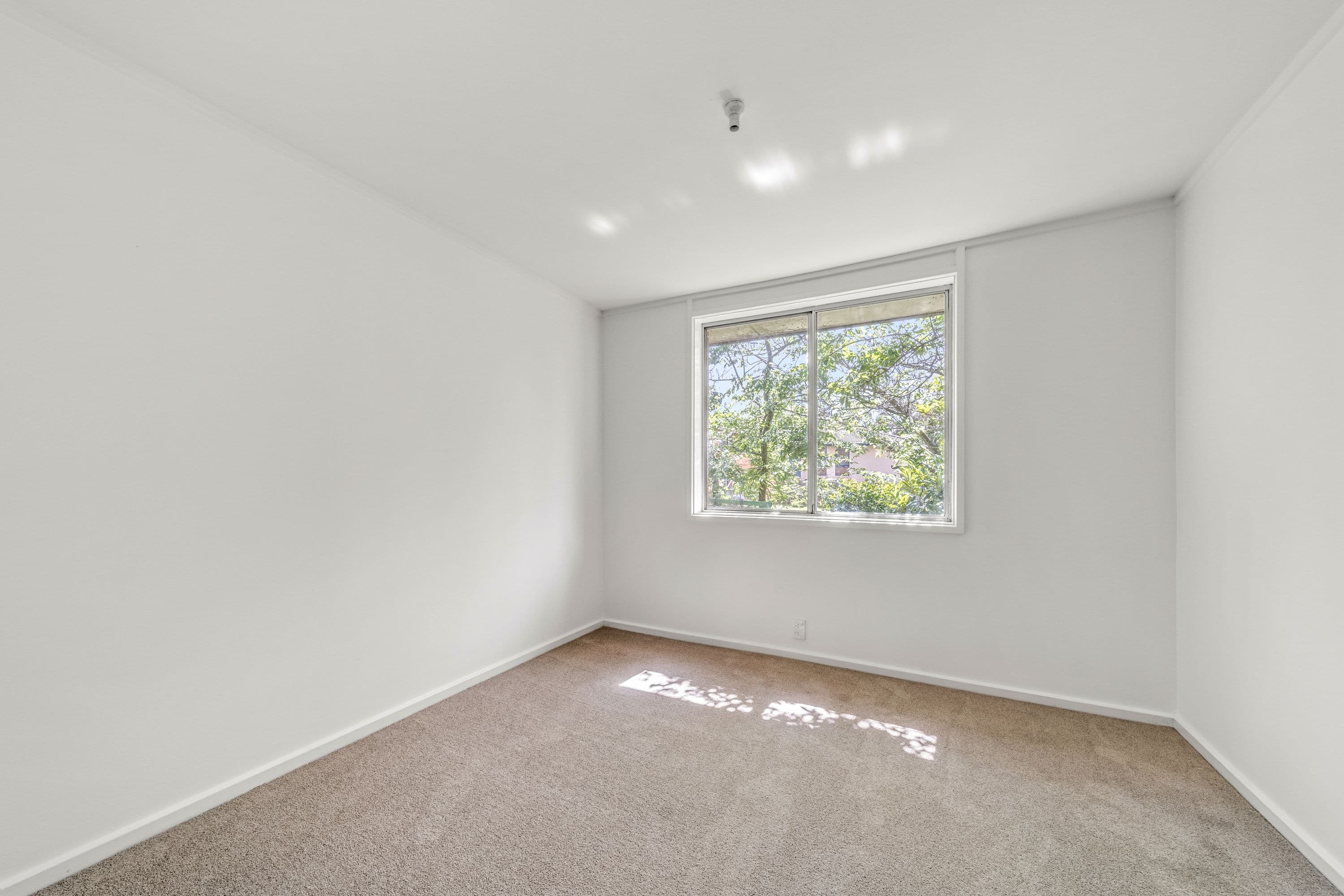 36 Sheehy Street, Evatt ACT 2617, Evatt - Thumbnail 8