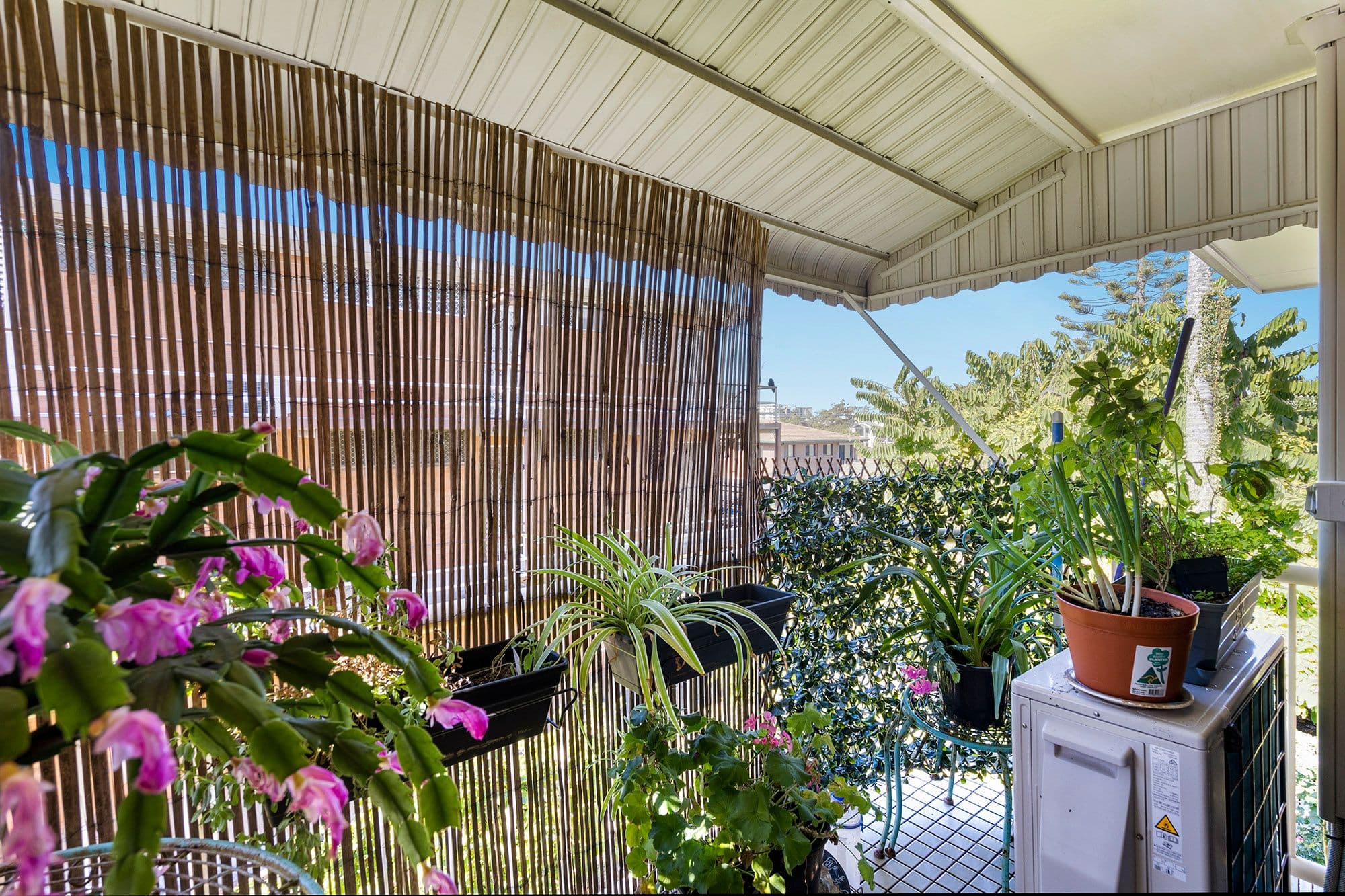 13 Meredith Street, Redcliffe QLD 4020, Redcliffe - Thumbnail 8