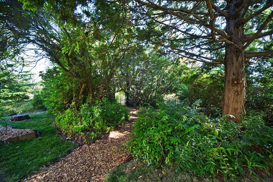 13 Ada Road, Blackheath - Thumbnail 8