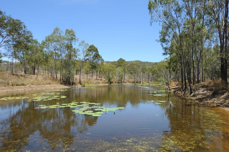 Lot 2 Butcher Road, WURDONG HEIGHTS QLD 4680, Wurdong Heights - Thumbnail 3