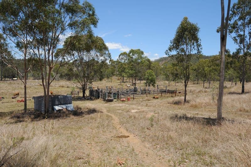 Lot 2 Butcher Road, WURDONG HEIGHTS QLD 4680, Wurdong Heights - Thumbnail 7
