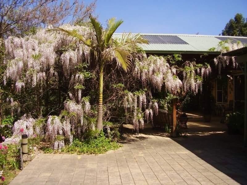 47 Mundaring Weir Road, KALAMUNDA WA 6076, Kalamunda - Thumbnail 5