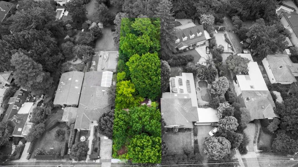 98 Bannockburn Road, Pymble - Image 1