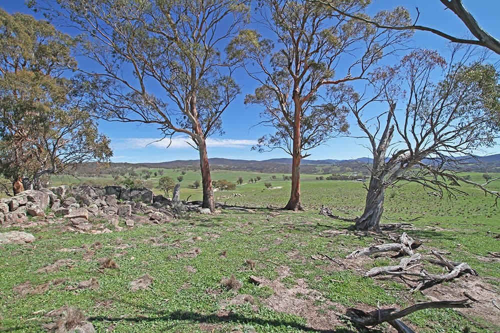Lot 6 Tinderry Road, Anembo NSW 2621, Anembo - Image 1