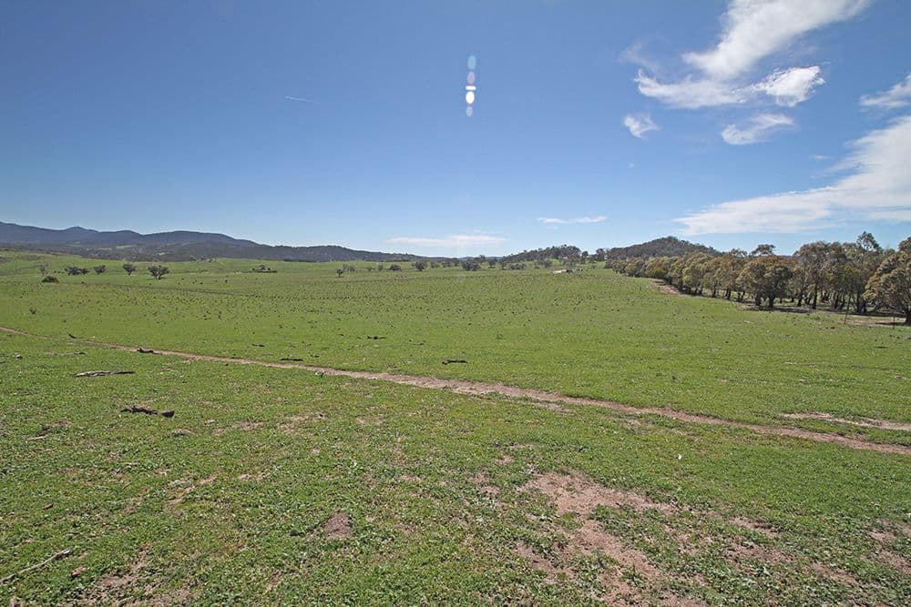 Lot 6 Tinderry Road, Anembo NSW 2621, Anembo - Thumbnail 3