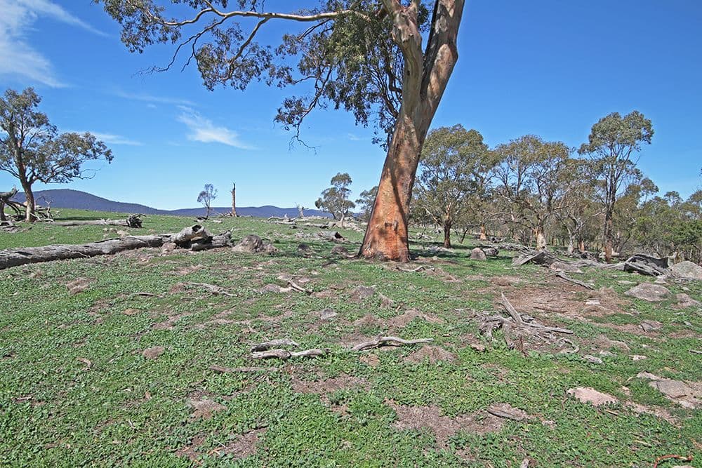 Lot 6 Tinderry Road, Anembo NSW 2621, Anembo - Thumbnail 5