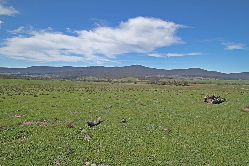 Lot 6 Tinderry Road, Anembo NSW 2621, Anembo - Thumbnail 6