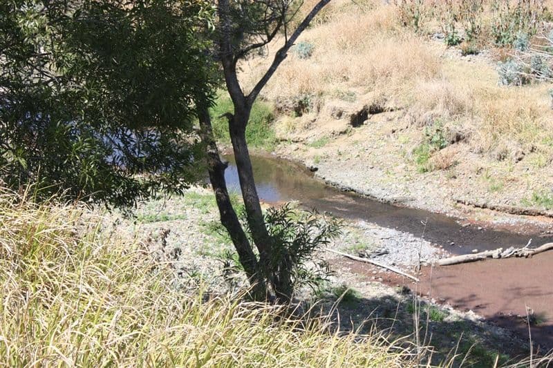 Lot 5 D'Aguilar Highway, MOORE QLD 4314, Moore - Thumbnail 4