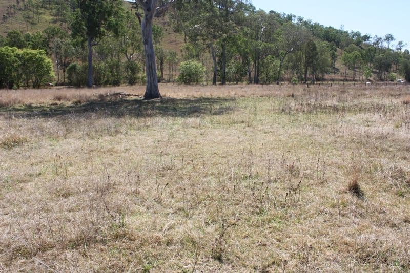 Lot 5 D'Aguilar Highway, MOORE QLD 4314, Moore - Thumbnail 7