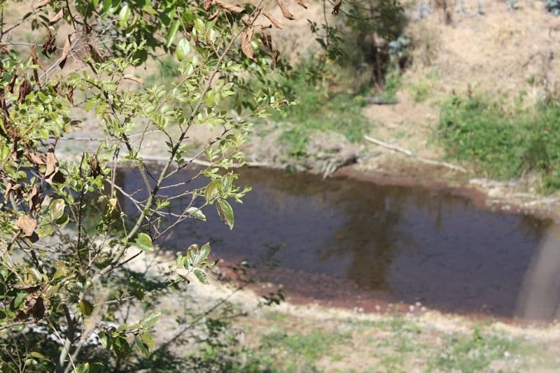 Lot 5 D'Aguilar Highway, MOORE QLD 4314, Moore - Thumbnail 8