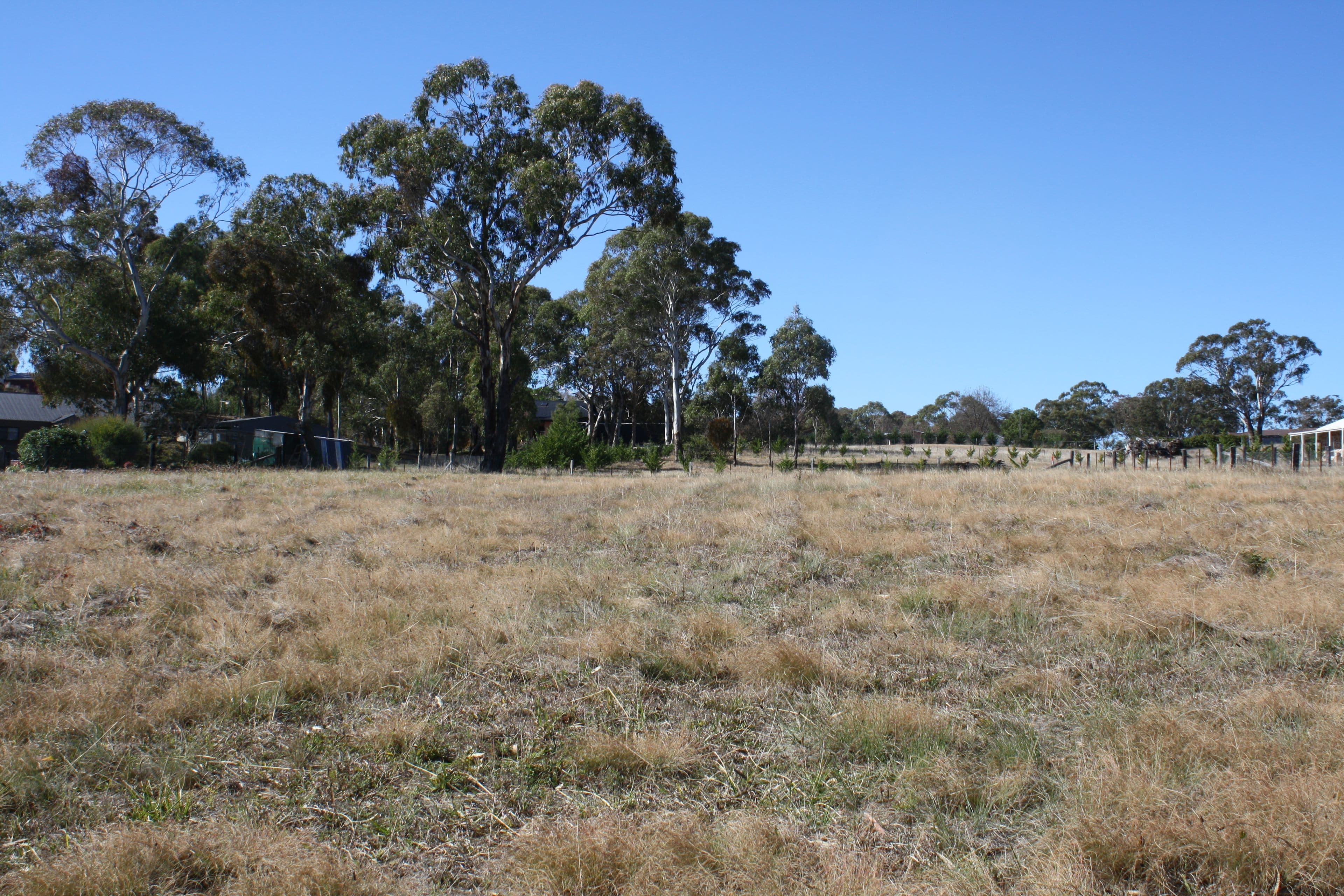 21 Cramsie Crescent, Glen Innes NSW 2370, Glen Innes - Thumbnail 4