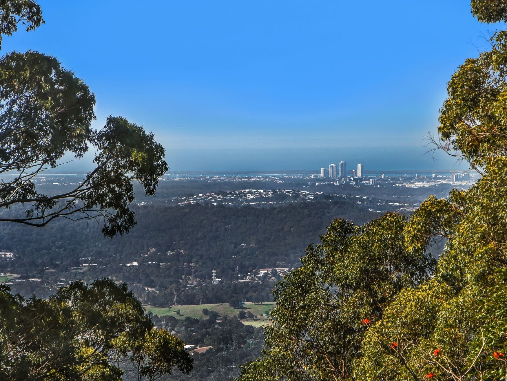 40 Justin Avenue, Tamborine Mountain QLD 4272, Tamborine Mountain - Thumbnail 2