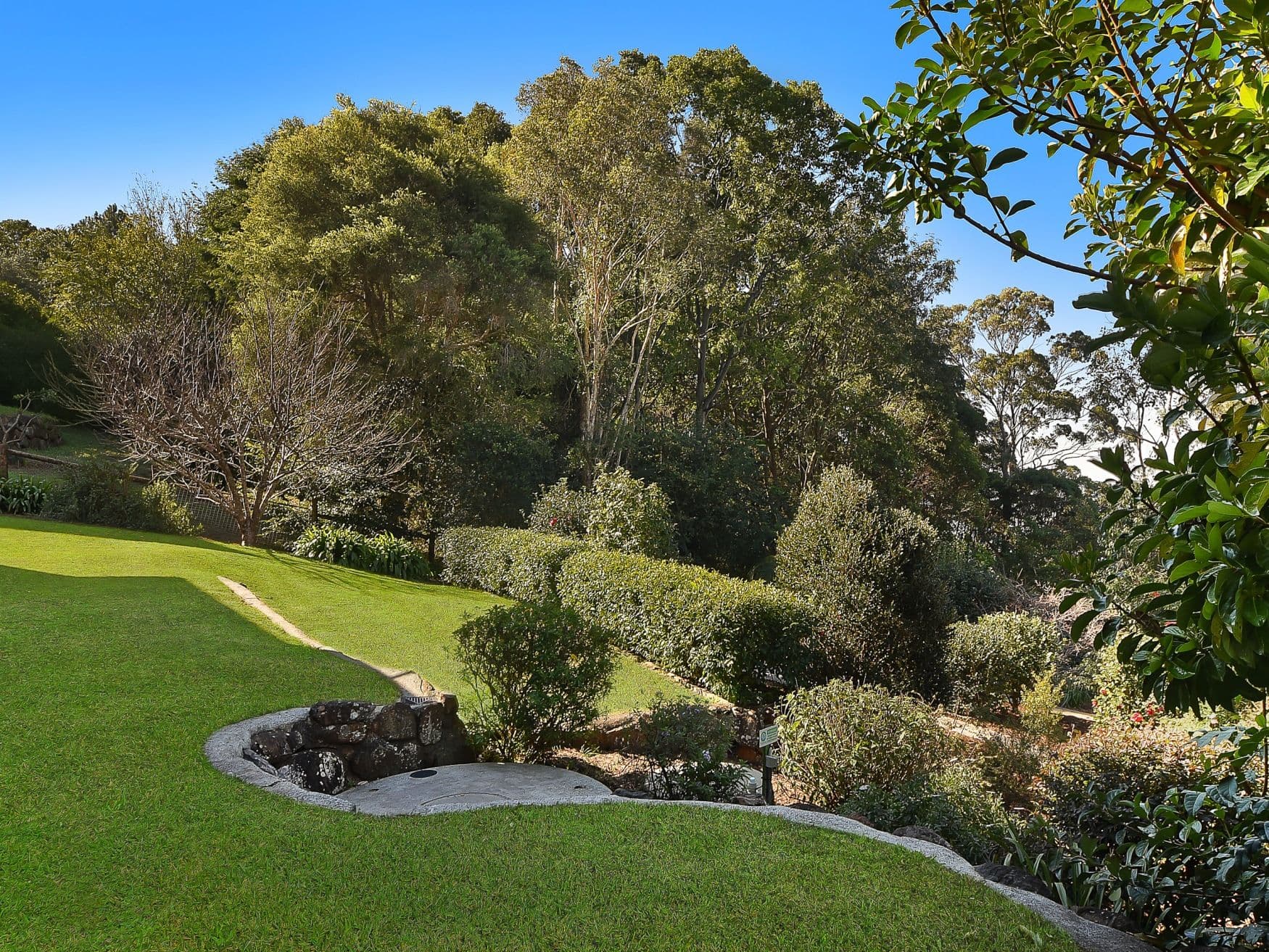 40 Justin Avenue, Tamborine Mountain QLD 4272, Tamborine Mountain - Thumbnail 8