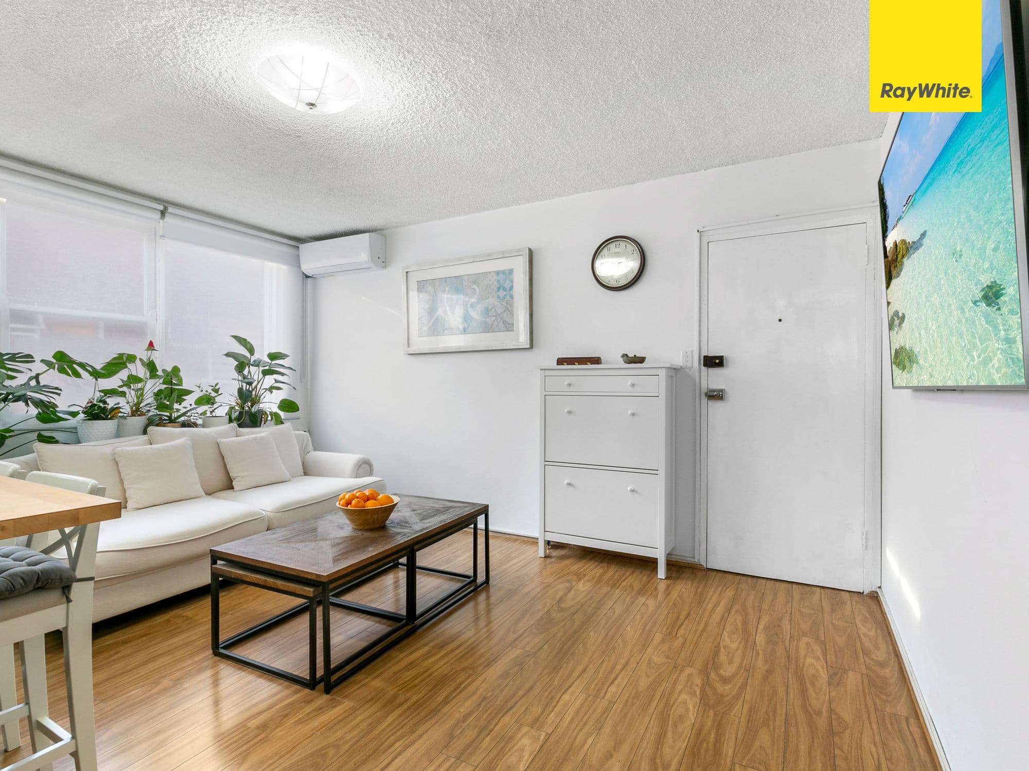 129 Evaline Street, Campsie NSW 2194, Campsie - Thumbnail 4