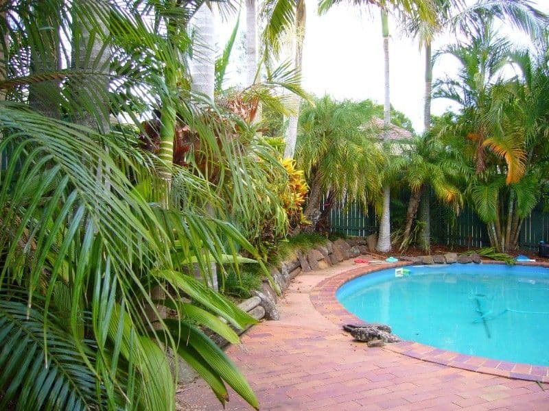 46A Bareena Street, JINDALEE QLD 4074, Jindalee - Thumbnail 3